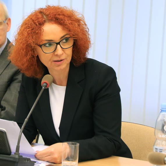 Wynajmować? Czy kupować? - 200.000 zł. rocznie na miejskie świąteczne świecidełka