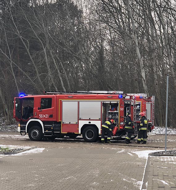 Ognisko pozostawione w lesie zaalarmowało straż