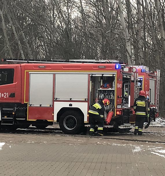 Ognisko pozostawione w lesie zaalarmowało straż
