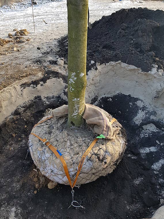 Przy promenadzie. Ogrd sensoryczny nabiera ksztatw