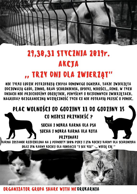 Trwa akcja „Trzy Dni dla Zwierzt”. Kady moe podarowa karm