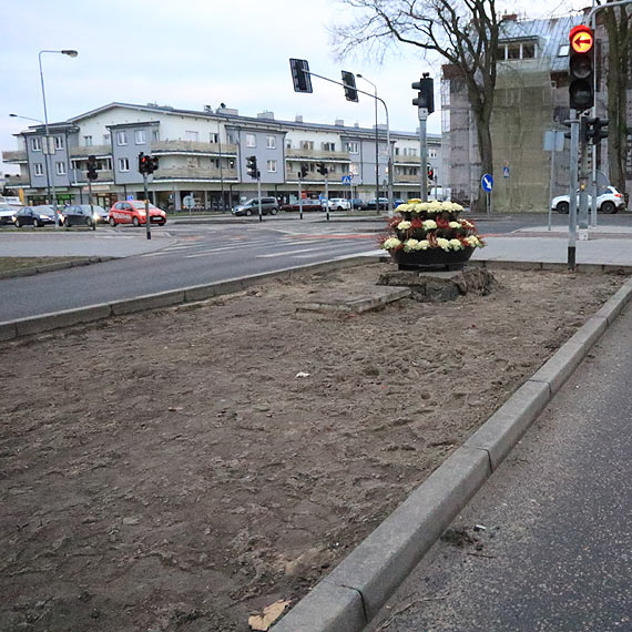 Były suche krzaki. Teraz będzie nowa aranżacja ulicznych wysepek