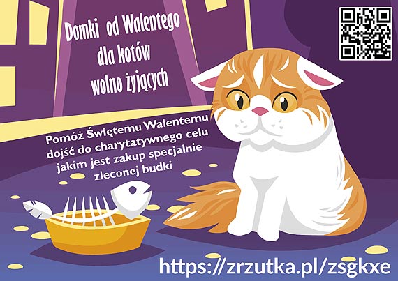 Kiedy jest noc i zimno kotom marzn apki