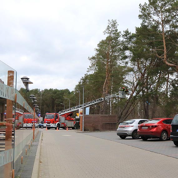 Silny wiatr uszkodzi drzewo. Trzeba byo wezwa straakw