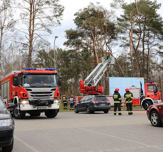 Silny wiatr uszkodzi drzewo. Trzeba byo wezwa straakw
