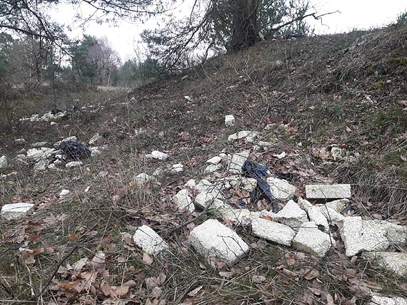 Zamiast na wysypisko, trafiy do lasu. W lasku w okolicach wysypiska mieci kto wyrzuci odpady budowlane!
