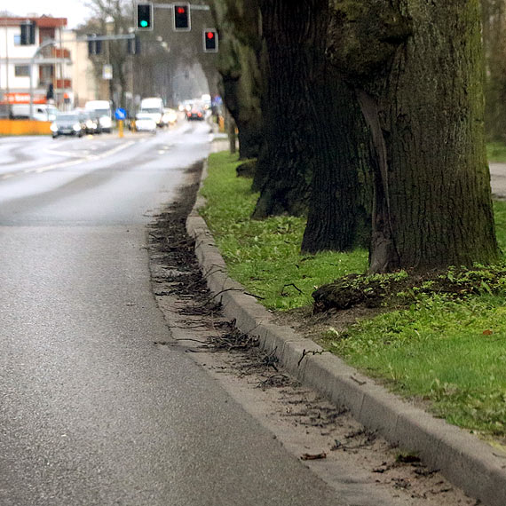Zaniedbane ulice naszego miasta. Czy tak powinien wyglądać kurort?