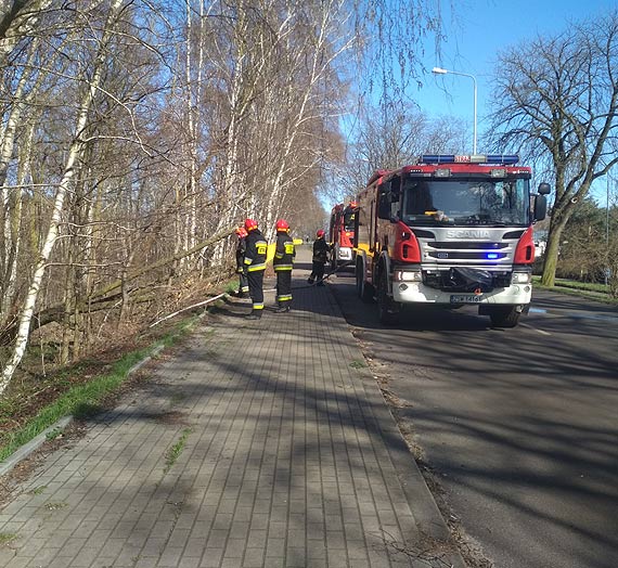 Czytelnik: Poar lasu na Warszowie jako pierwsze zauwayy dzieci