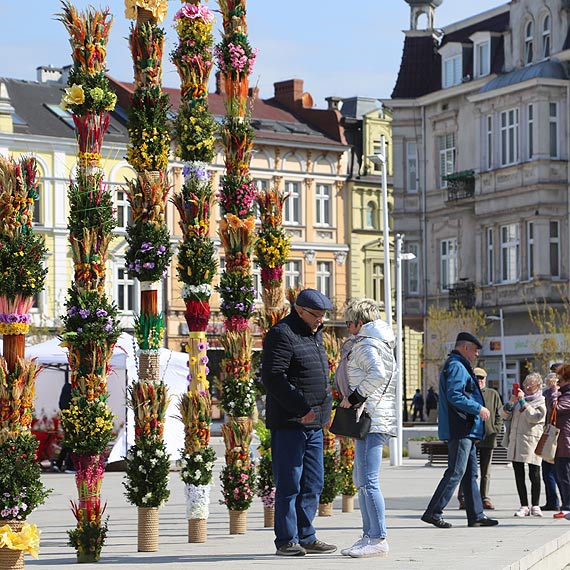 Centrum miasta pene palm. Podziwiamy wielkie, kupujemy mae
