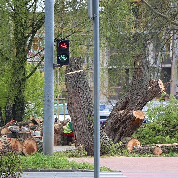 Czy wadze miasta szanuj przyrod?