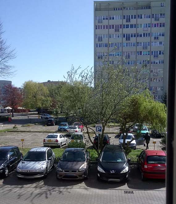 Notorycznie parkowa na miejscu dla niepenosprawnych. Suby nie chciay interweniowa?