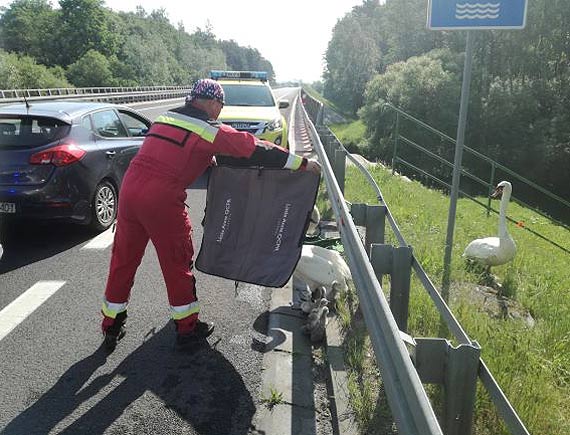 Mundurowi uratowali ycie abdziej rodzinie