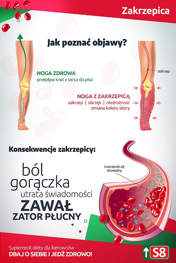 Profilaktyka chorb zawodowych kierowcw