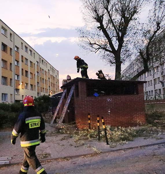 Przewrcio si drzewo. Straacy odsunli samochd na bok