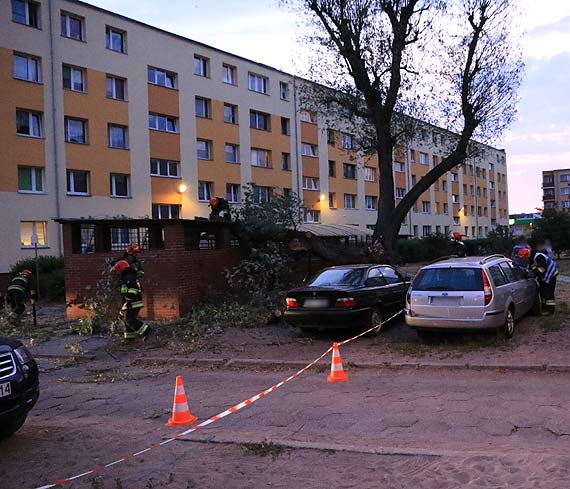 Przewrcio si drzewo. Straacy odsunli samochd na bok