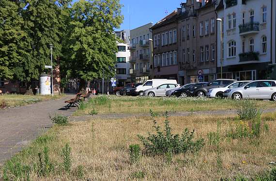 Skwer w centrum miasta czy łąki?