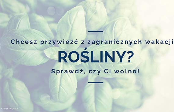 W podry z rolinami