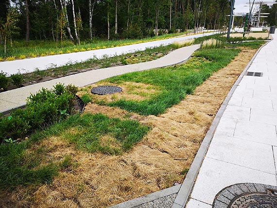 Promenadowy zielony skandal!