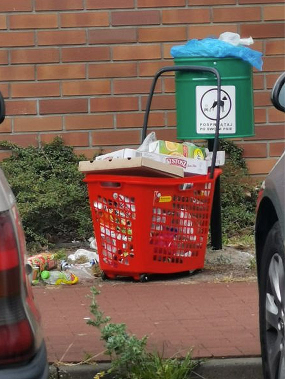 Czytelnik: Turyci przyjechali na osiedle Platan
