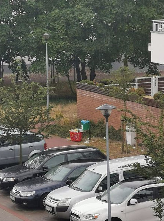 Czytelnik: Turyci przyjechali na osiedle Platan