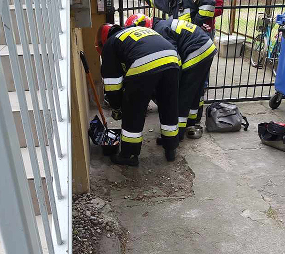 Pies, ktry zakleszczy si w metalowej furtce, zosta uratowany przez straakw