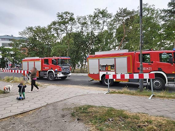 Pies, który zakleszczył się w metalowej furtce, został uratowany przez strażaków