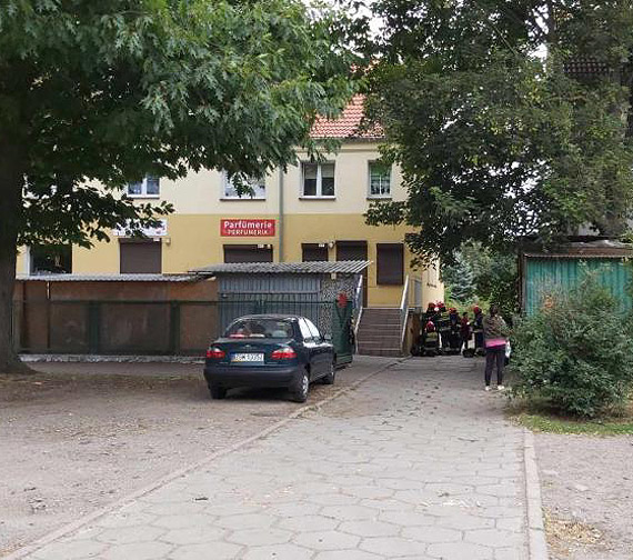 Pies, który zakleszczył się w metalowej furtce, został uratowany przez strażaków