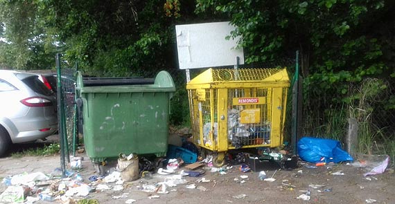 Jak dziakowicze traktuj las