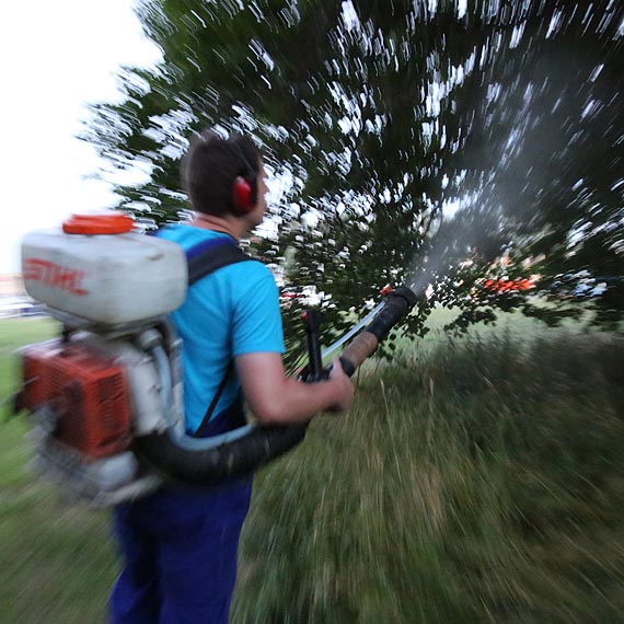 A co mwi wadze na temat tegorocznego odkomarzania?