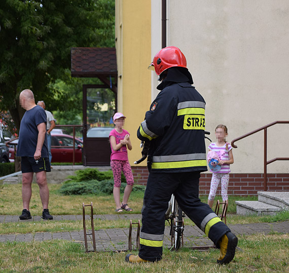 Kot zakleszczy si w uchylnym oknie. Nie przey