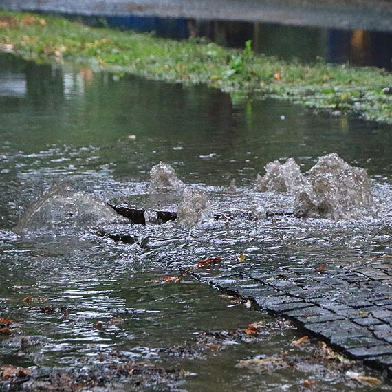 Powtórka z „rozrywki”- znów zalane te same ulice