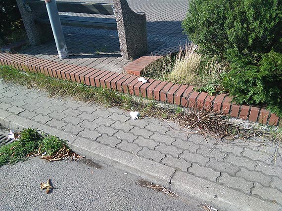 Czytelnik: Postój taxi na Warszowie jest antywizytówką Świnoujścia