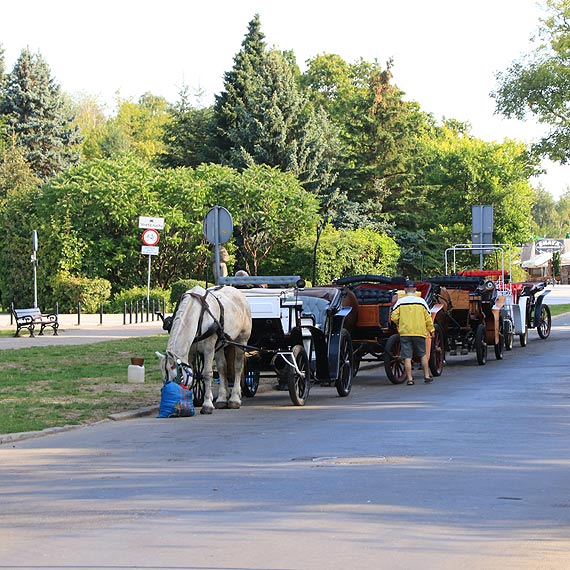 Stra miejska sprawdzi smrodek na Trentowskiego
