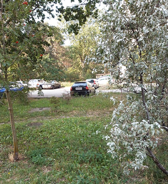 Porzucone pojazdy bez tablic blokuj miejsca parkingowe