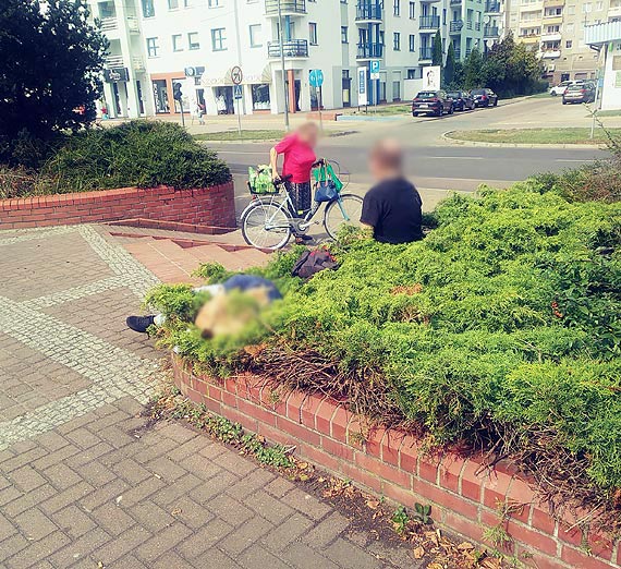 Czytelniczka: Gocie z Niemiec