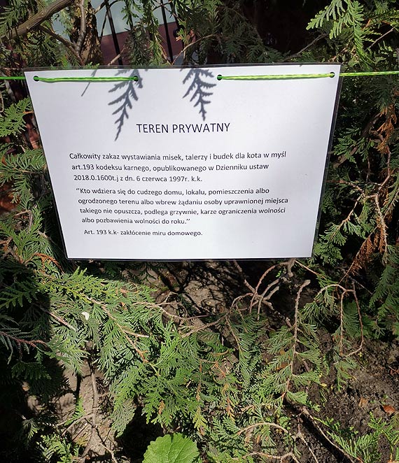 Czytelniczka w trosce o kota z ulicy Sienkiewicza