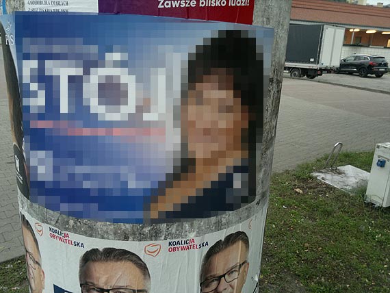 Komu nie spodobaa si kandydatka PiS. Piesek tego nie zrobi