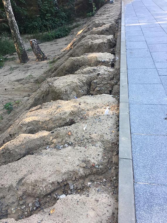 Na promenadzie zdrowia były niedoróbki