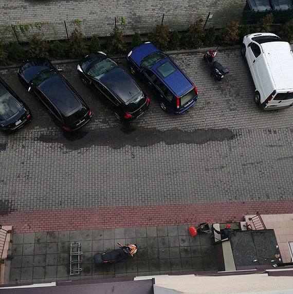 Czytelnik: Bezmylno albo zoliwo