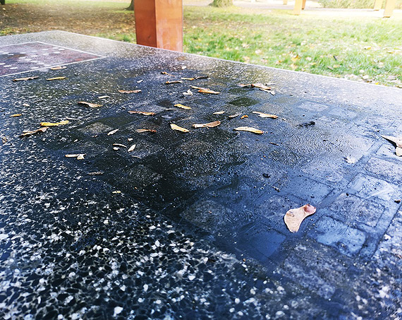 Czytelnik: Park Chopina wita: rasitowskimi napisami, penisami i ogólnym syfem!