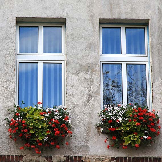 Urzd Miasta w ruinie. Folia ochronna (budowlana) przylega na stae