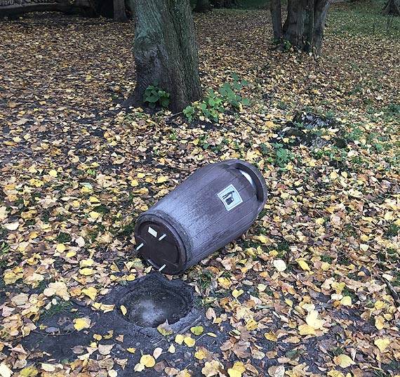 Walczymy z dzikami, a ludzie przejmują ich naturę