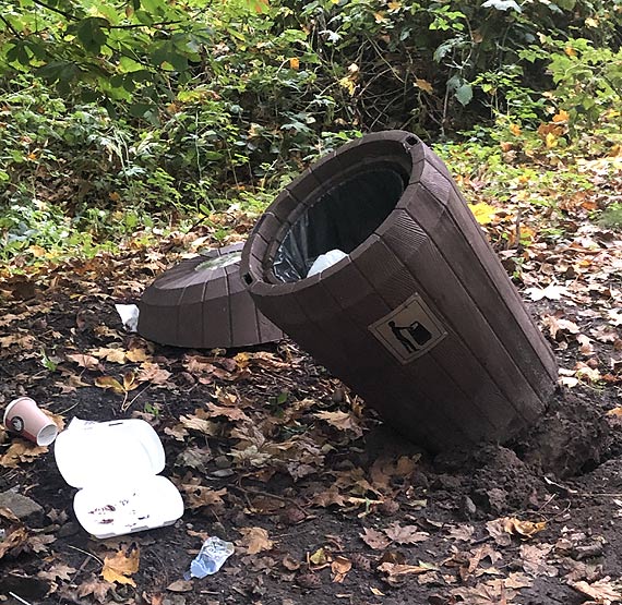 Walczymy z dzikami, a ludzie przejmują ich naturę
