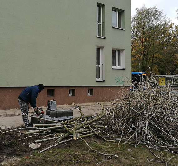 Zasłaniały widok, a samochody nie miały gdzie stać. Drzewa poszły „pod topór”