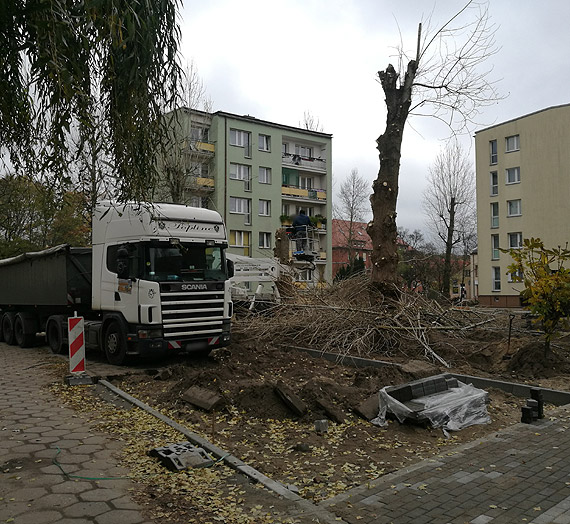 Zasłaniały widok, a samochody nie miały gdzie stać. Drzewa poszły „pod topór”