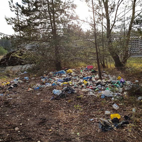 Czytelnik: Kto pilnuje porzdku?