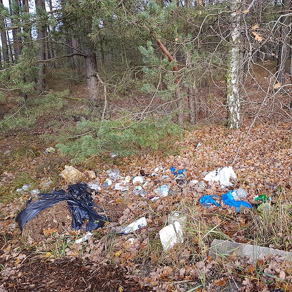 Czytelnik: Kto pilnuje porządku?