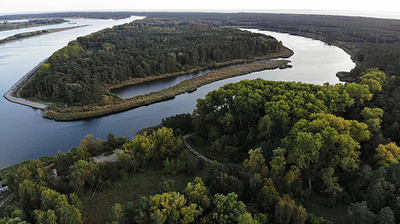 Jest przetarg na wybr wykonawcy zagospodarowania Mulnika