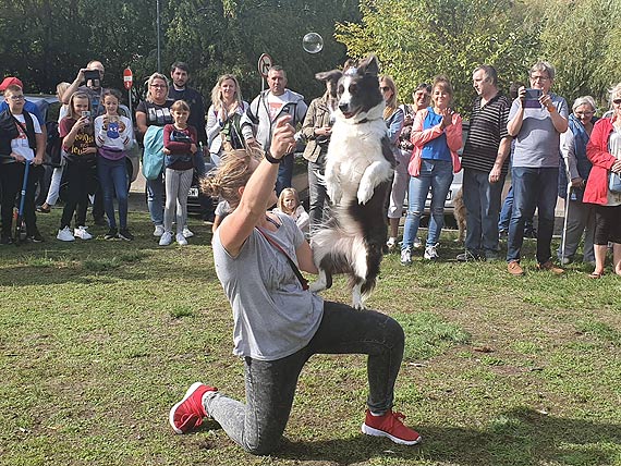 Grzebowisko dla zwierzt w winoujciu stao si faktem! 