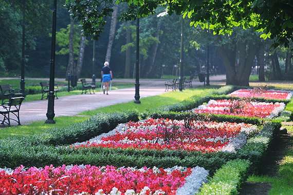 Park Zdrojowy. S chtni na dalsz rewitalizacj